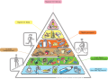 Piramide alimentare della Società Svizzera di Nutrizione (2005)