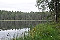 Lejas ezers, Daugmales pagasts, Ķekavas novads, Latvia - panoramio (2).jpg