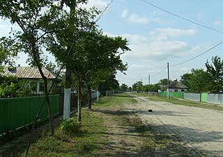 <span class="mw-page-title-main">C. A. Rosetti, Tulcea</span> Commune in Tulcea, Romania