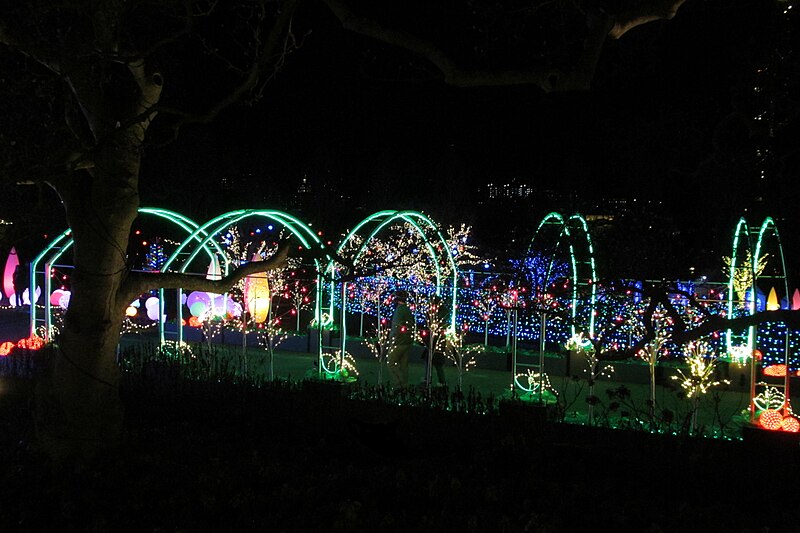 Overlooking the light garden