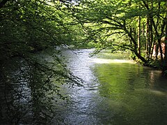 Lison (rivière) 0017.jpg