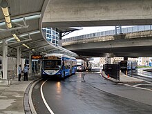 Massport Shuttle buses at the station Logan Airport Shuttles at Airport station, August 2015.JPG