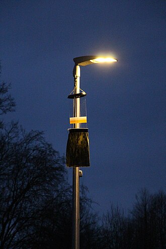 Flight interception trap deployed in a research project investigating effects of light pollution on insects Lufteklektor Westhavelland 1.jpg