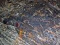 Magnetite-rich banded iron-formation (BIF) (Michipicoten Iron-Formation, Neoarchean, 2696-2749 Ma; Route 17 roadcut east of Bridget Lake, south of Wawa, Ontario, Canada) 2 (48268772037).jpg