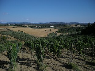 Vista collinare a Malmantile