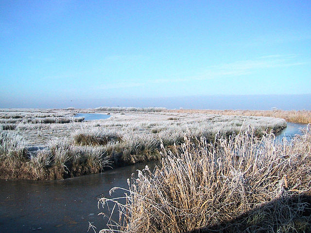 Les marais de Brouage en hiver