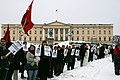 Maria Amelie protest, Royal Palace Oslo.jpg