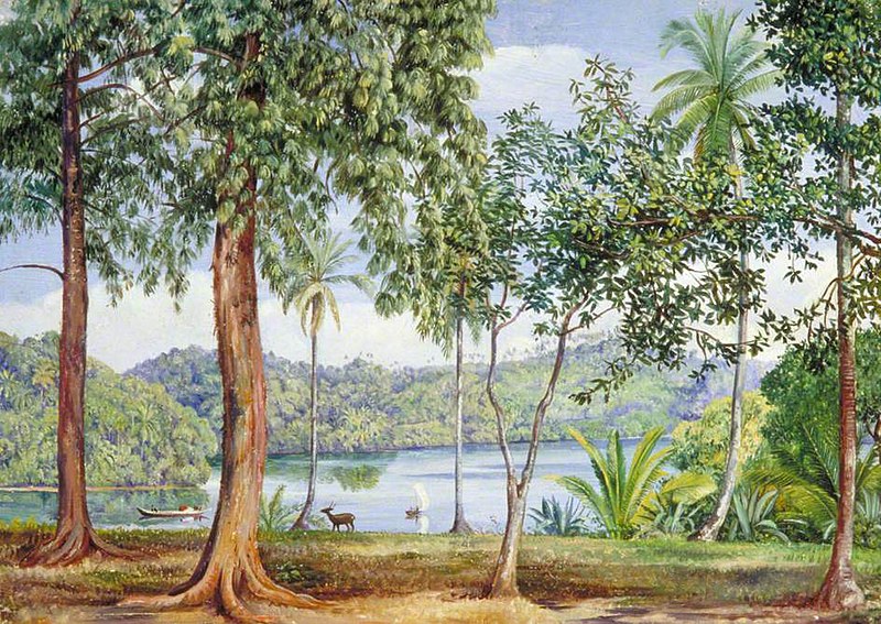 File:Marianne North (1830-1890) - View from Kalutara, Ceylon - MN819 - Marianne North Gallery, Royal Botanic Gardens, Kew.jpg