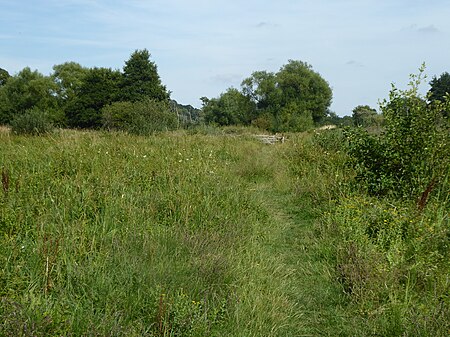 Marston Marshes 2