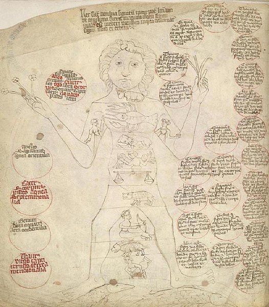 File:Medical Astrology-Man.jpg