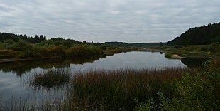 Kuksa Ke Volga Medveditsa