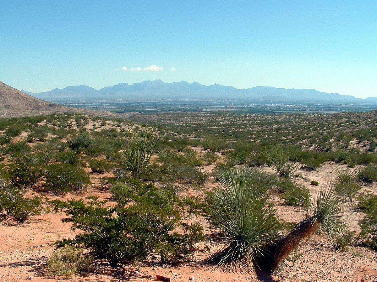 Las Cruces, New Mexico - Wikipedia