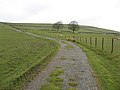 Metalled track to the North of Turner Lodge Farm - geograph.org.uk - 1778231.jpg