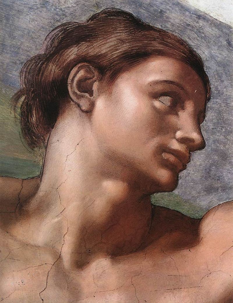 File:Michelangelo, Creation of Adam 05.jpg - Wikimedia Commons