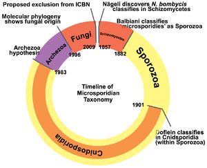 Microsporidia History