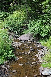 Mill Run looking downstream