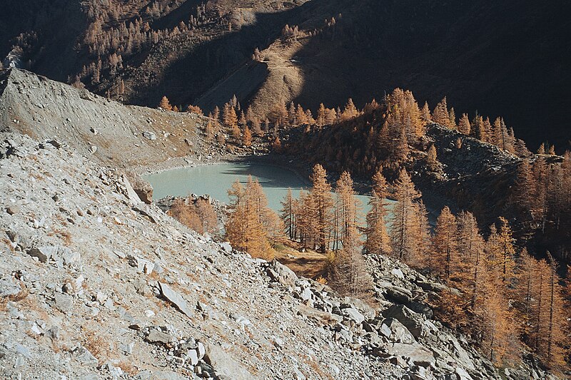 File:Moraine et lac du Miage.jpg