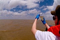 Murky water, checking turbidity. (4606483974).jpg