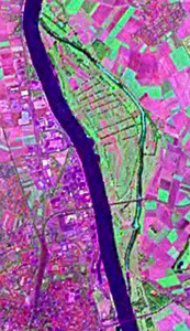NASA Geocover 2000 satellite image, with forester's house in the crosshairs
