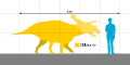 Size of NMC 8547 and/or Anchiceratops. If you want a more typical body, I'll upload a different file.