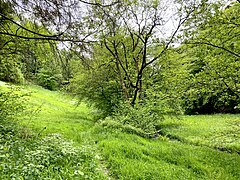 Abwechslungsreiches Landschaftsmosaik im Tal der Brambecke