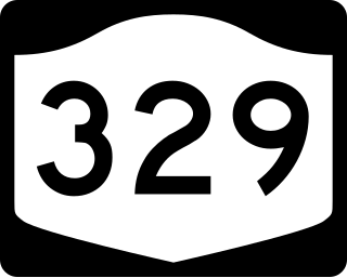 <span class="mw-page-title-main">New York State Route 329</span> State highway in Schuyler County, New York, US