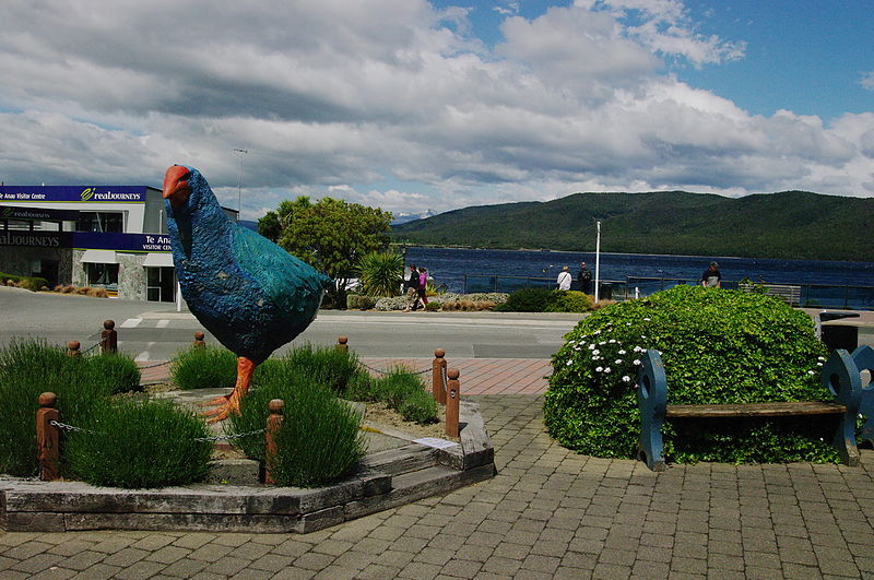 File:NZL-te-anau-seeufer-takahe.jpg