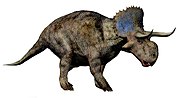 Miniatura para Nasutoceratops titusi