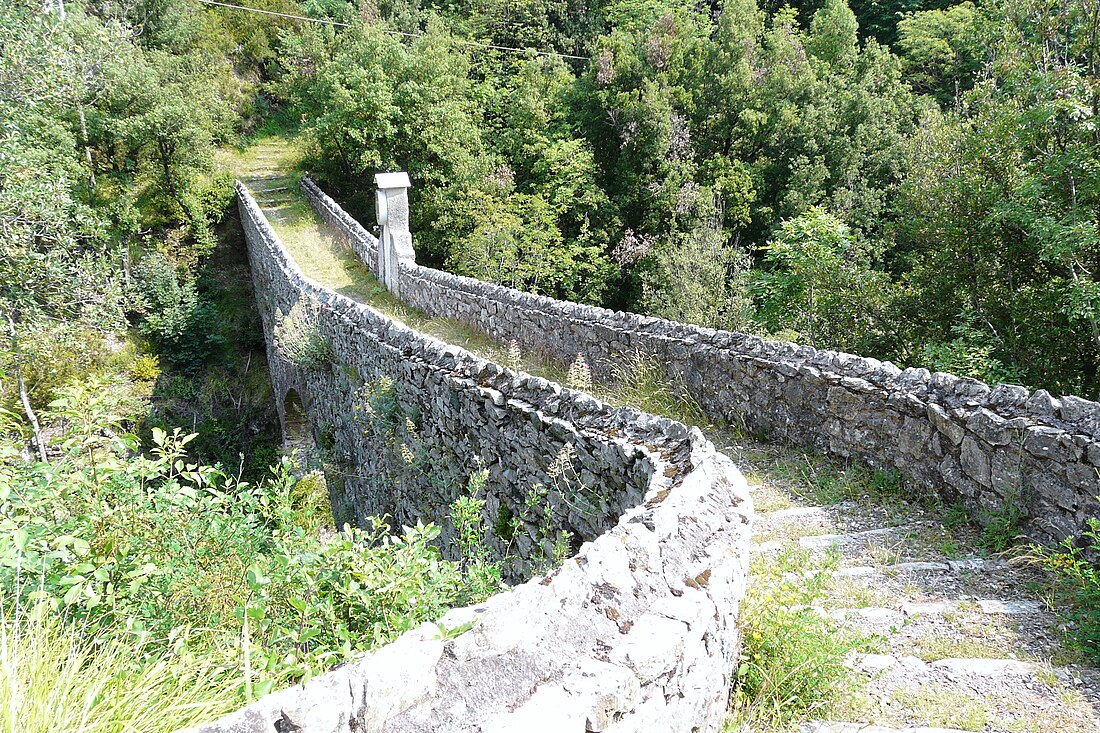 Ne, Liguria