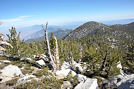 Near the summit of San Jacinto