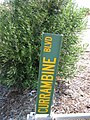 Fallen street sign, taken in 2006, on Currambine Boulevard, Currambine, Western Australia. Although a City of Wanneroo design, the sign would have been placed by the City of Joondalup.