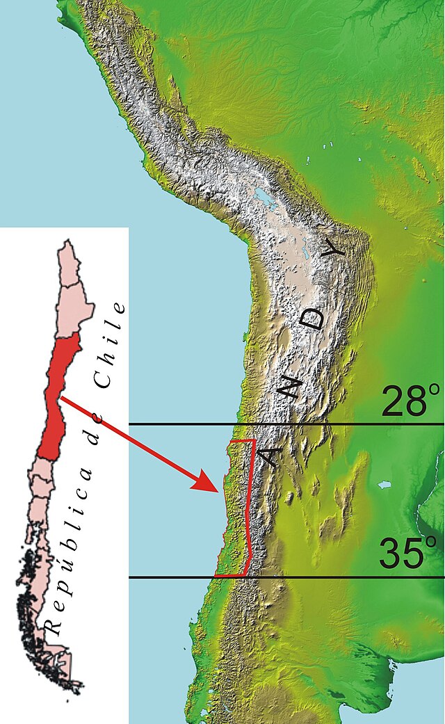 Description de l'image Octodon_degus_w_chile.jpg.