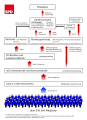 ドイツ社会民主党: 概説, 歴史, 政策