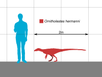 File:Deinocheirus Scale.svg - Wikipedia