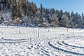 * Nomination Meadow orchard on Gaisrückenstraße «Am Kåte» in Winklern, Pörtschach, Carinthia, Austria -- Johann Jaritz 03:40, 19 January 2022 (UTC) * Promotion  Support Good quality. --XRay 04:44, 19 January 2022 (UTC)