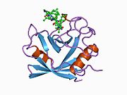 PDB 1cwf EBI.jpg