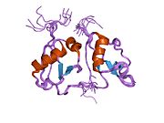 PDB 1ibx EBI.jpg