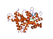 PDB 1y0x EBI.jpg