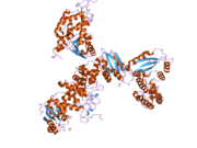 PDB 1zvm EBI.png