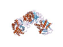 PDB 2c1w EBI.jpg