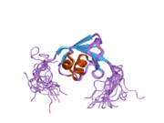 2daj: Solution Structure of the Novel Identified Ubiquitin-like Domain in the Human COBL-like 1 Protein