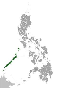 Distribución del cálao de Palawan.