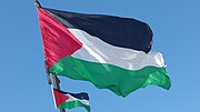 Palestine flag 11.jpg