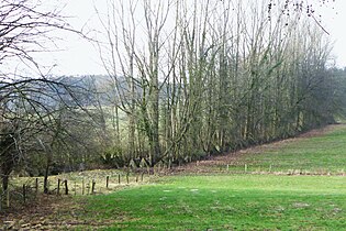 Panzersperren bei Aachen-Köpfchen, Relikte des Westwalles