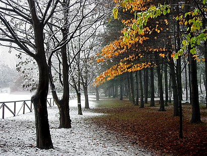 Come arrivare a Parco Castello con i mezzi pubblici - Informazioni sul luogo