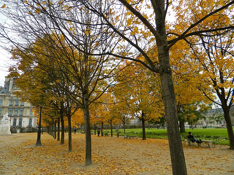 File:Paris 75001 Jardin des Tuileries east part towards Pavillon de Marsan in autumn.jpg