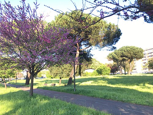 Park of the Solidarietà in Rome