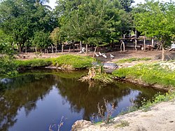 Pond near Joachín