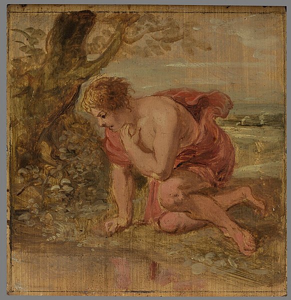 File:Peter Paul Rubens - Narcissus wordt op zijn eigen spiegelbeeld verliefd - 2518 (OK) - Museum Boijmans Van Beuningen.jpg