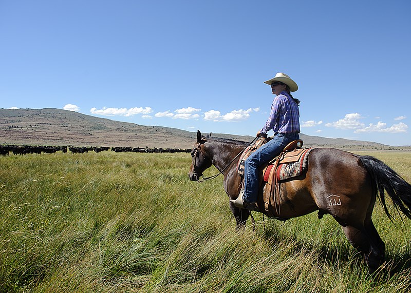 File:Petes creek ranch.jpg